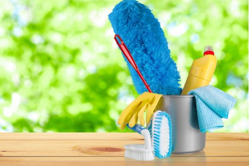 Trusted cleaners in Bermondsey maintaining a polished property
