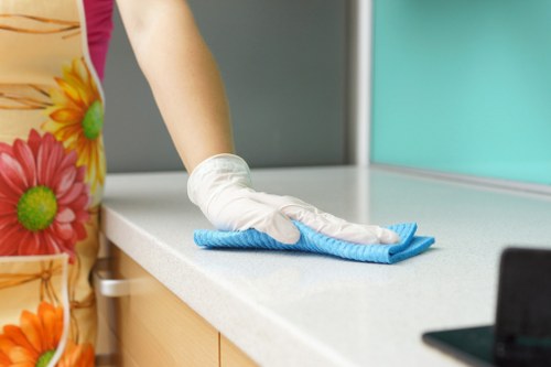 Regular cleaning service for Bermondsey homes and apartments