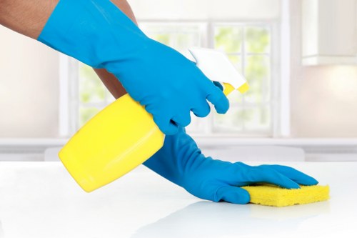 Preparation checklist and recurring cleaning service in Bermondsey