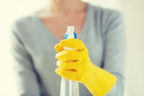 Professional Bermondsey cleaning services focused on detail and care