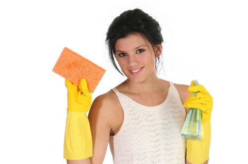Detailed cleaning in a Bermondsey property with a focus on hygiene