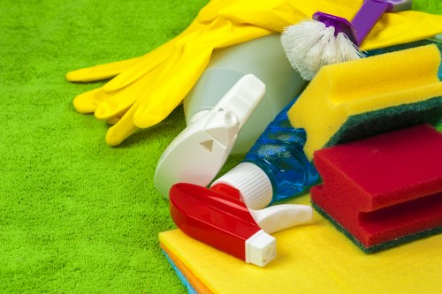 Bermondsey local specialist addressing stubborn pet odour in a rental property