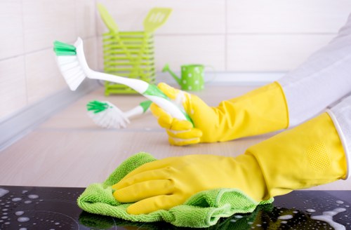 Regular home cleaning service for a flat in Bermondsey