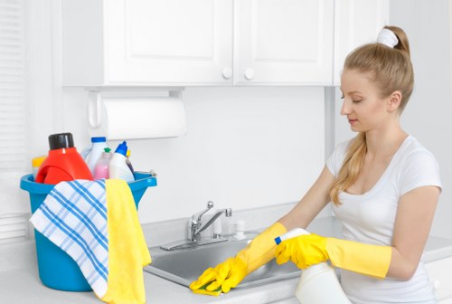 Detailed post renovation cleaning in a Bermondsey kitchen